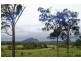 142 Dairy Inn Road, Cawarral QLD 4702