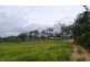142 Dairy Inn Road, Cawarral QLD 4702
