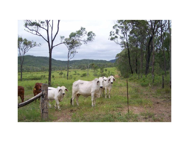 142 Dairy Inn Road, Cawarral QLD 4702