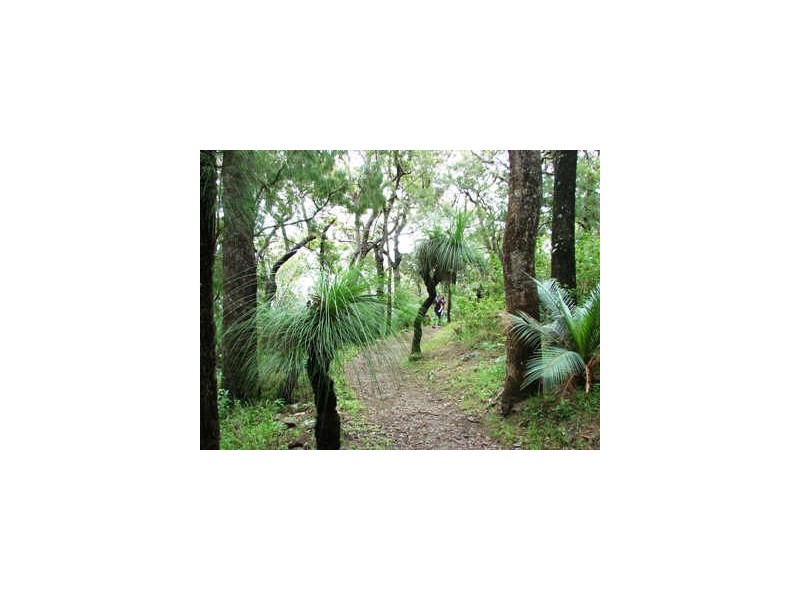 6 Pilbeam Drive, Rockhampton QLD 4700