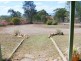20 Petersen Road, Alton Downs QLD 4702