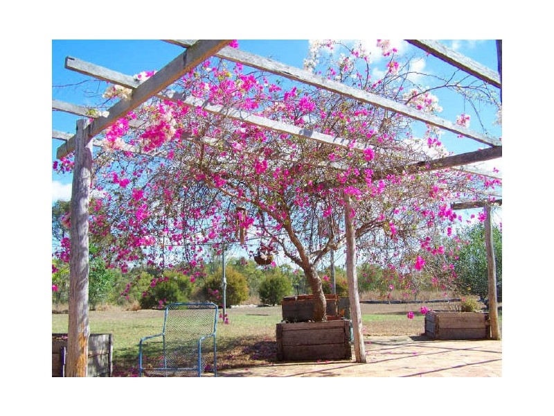 20 Petersen Road, Alton Downs QLD 4702