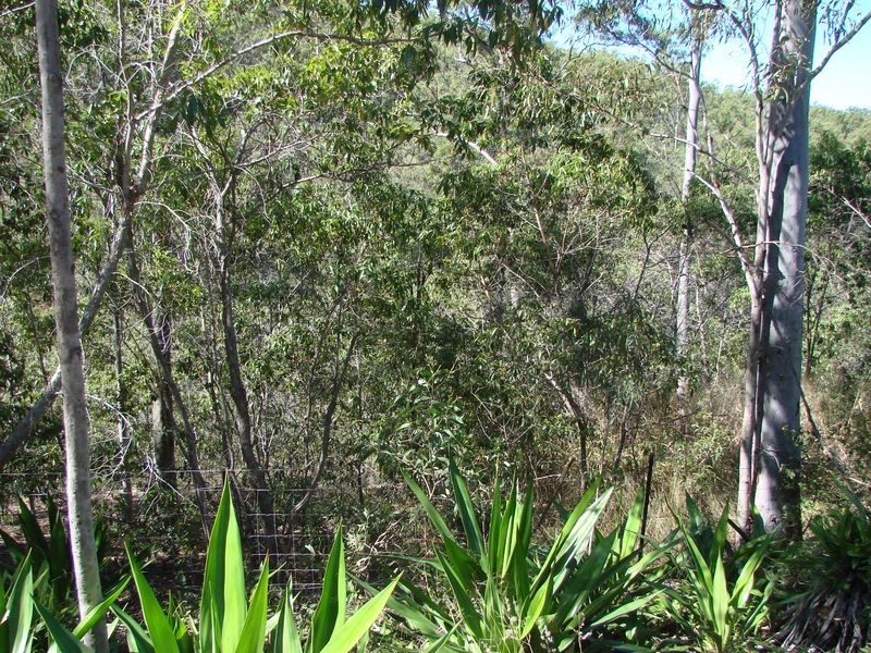 54 School Road, Ambrose QLD 4702