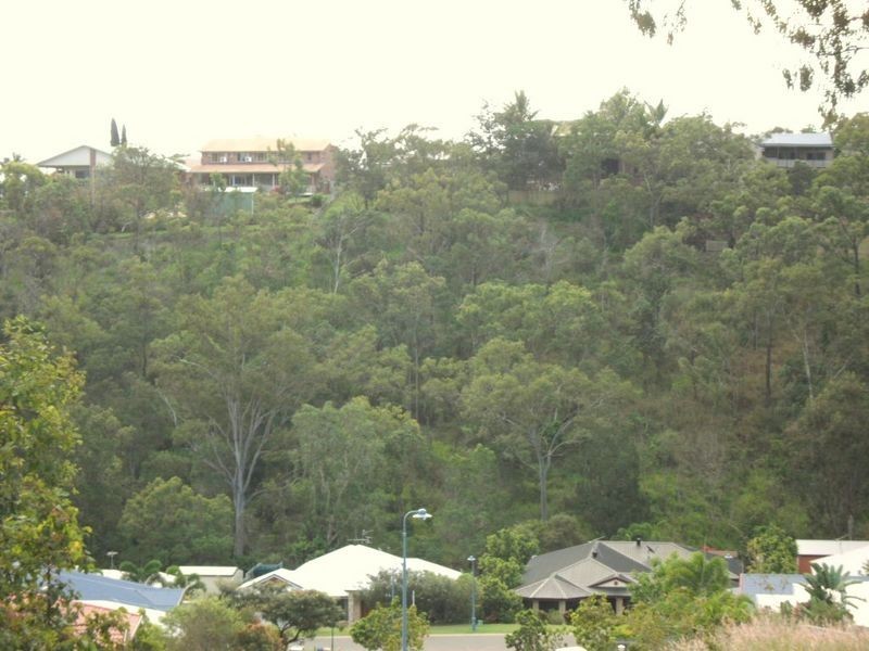 12 Magnolia Court, Frenchville QLD 4701