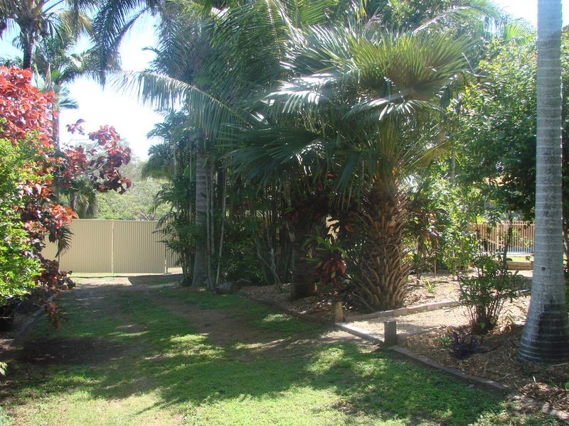 65 Thompson Street, Park Avenue QLD 4701