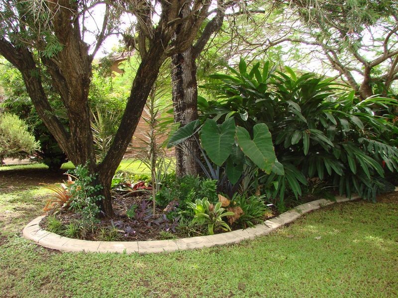 317 Rockonia Road, Koongal QLD 4701