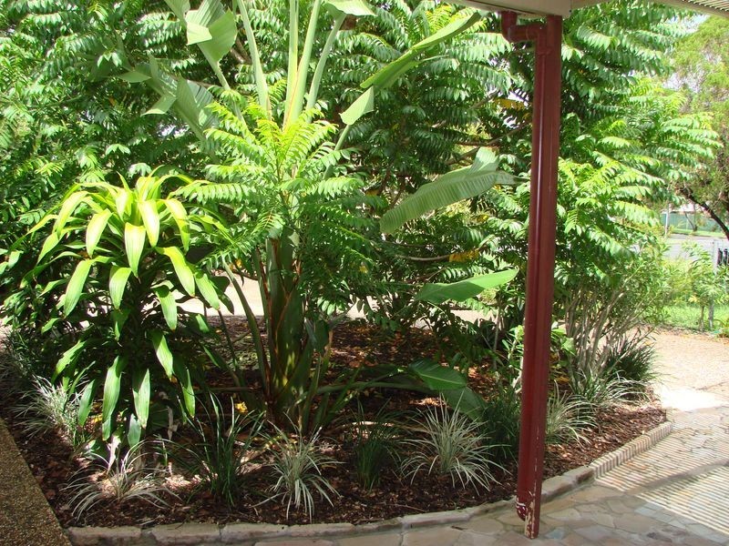 317 Rockonia Road, Koongal QLD 4701