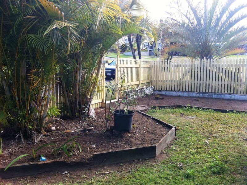 316 Halford Street, Frenchville QLD 4701