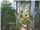 186 Wilson Street, Frenchville QLD 4701