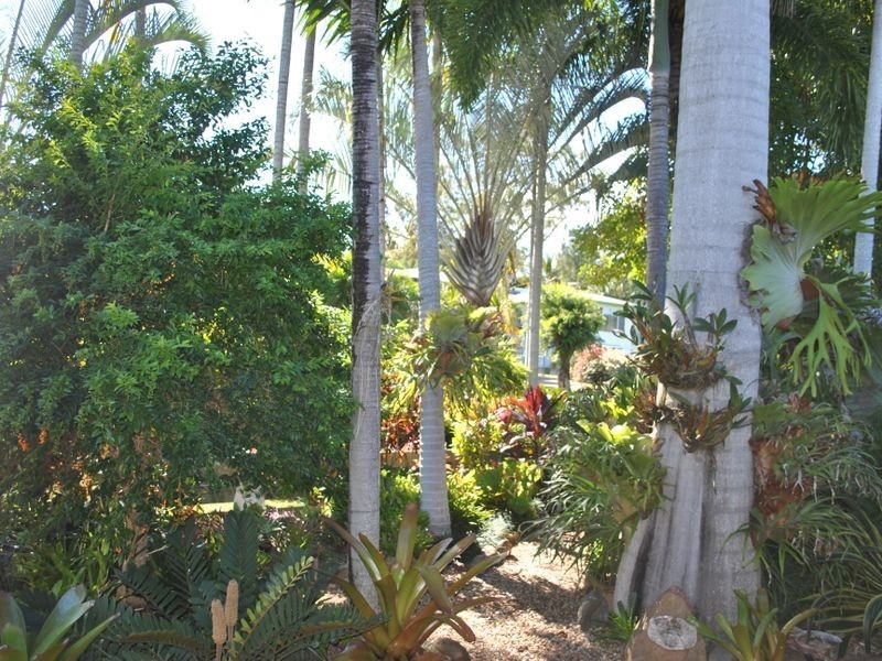 186 Wilson Street, Frenchville QLD 4701