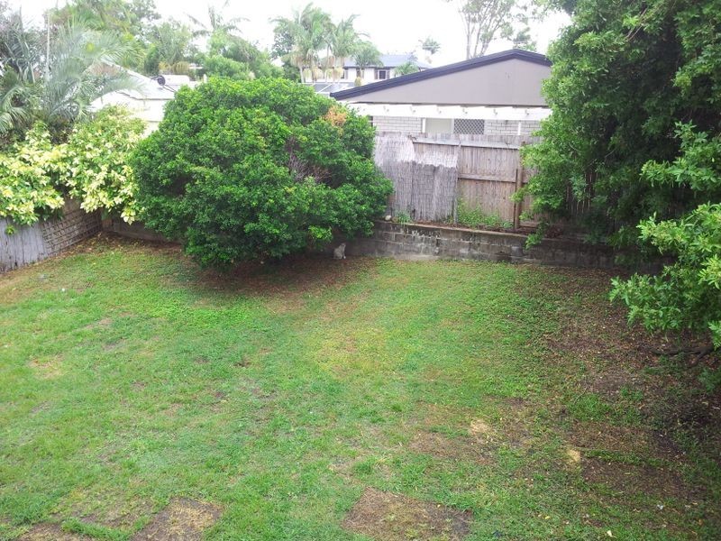 349 Lawrence Avenue, Frenchville QLD 4701