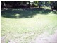 9 Thackeray Street, Park Avenue QLD 4701