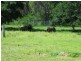 12 Gum Tree Avenue, Bouldercombe QLD 4702