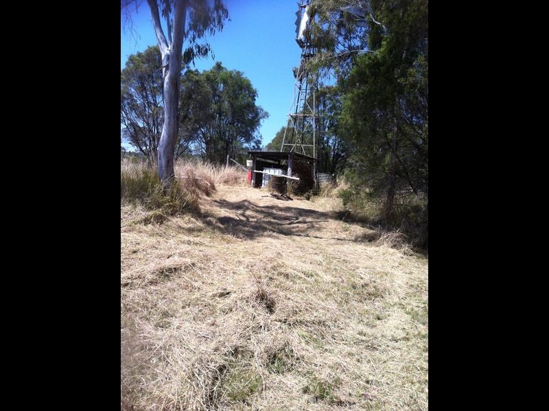 179 Archer Road, Baree QLD 4714