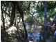 179 Archer Road, Baree QLD 4714