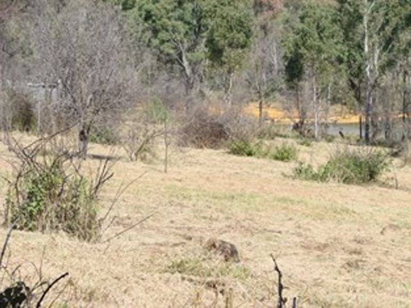 10 Randwick Lane, Mount Morgan QLD 4714