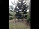 149 Manns Road, Rockhampton City QLD 4700