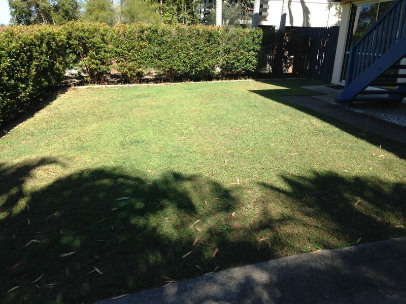 331 Lawrence Avenue, Frenchville QLD 4701