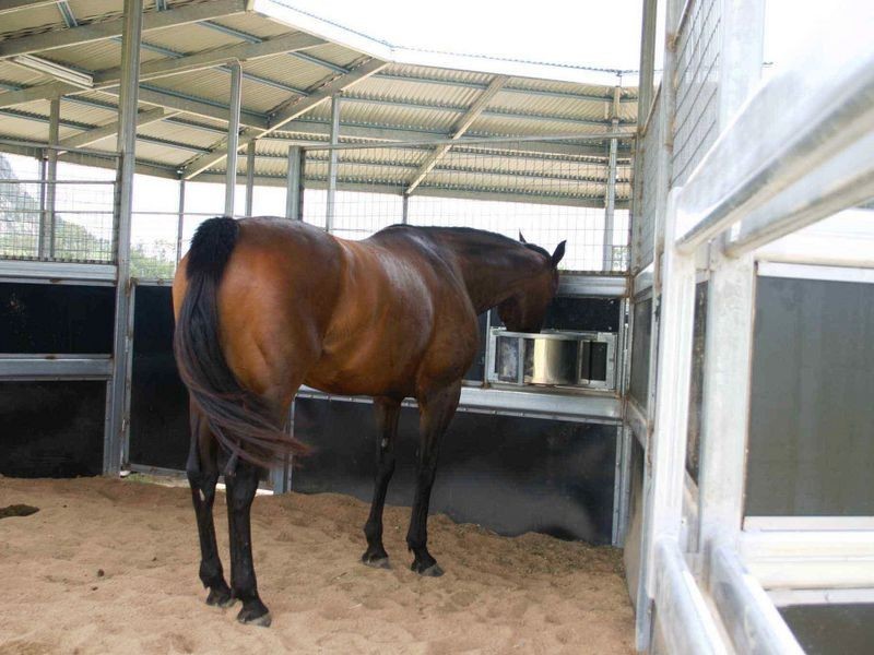 1600 Yeppoon Road, Mulara QLD 4703