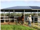 1600 Yeppoon Road, Mulara QLD 4703