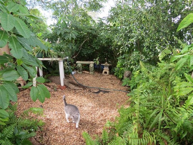 75 Kent Street, Rockhampton City QLD 4700