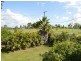 65 Douglas Street, Gracemere QLD 4702
