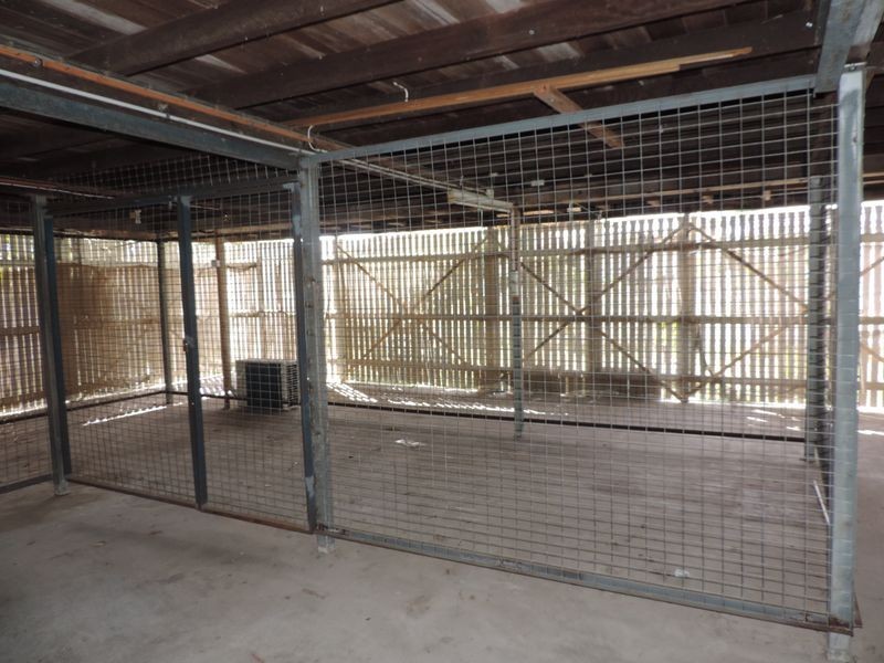 6 Connolly Street, Allenstown QLD 4700