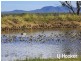 172 Milman North Road, Milman QLD 4702