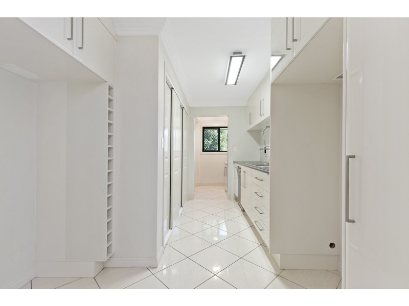 16 Treefern Terrace, Frenchville QLD 4701