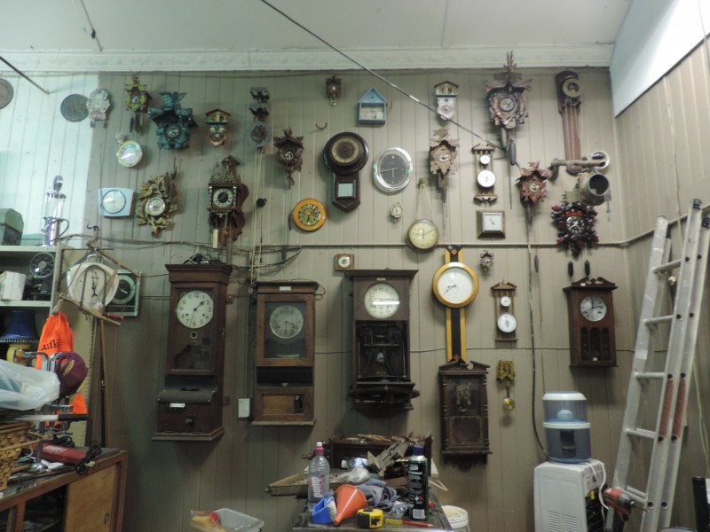 5 Musgrave Street, Berserker QLD 4701