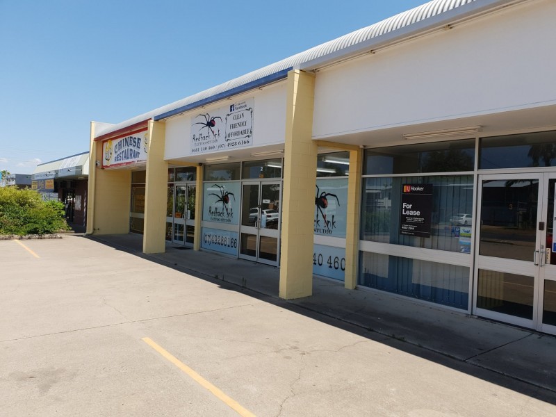 295 Richardson Road, Park Avenue QLD 4701