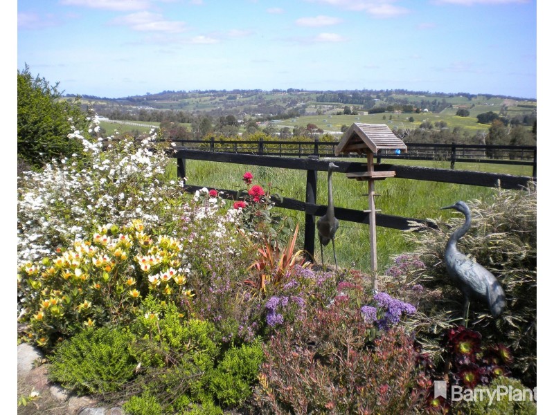 1046 Wellington Road, Narre Warren East VIC 3804