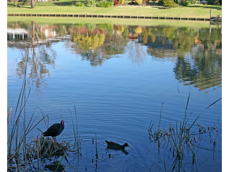 42 Erie Avenue, Rowville VIC 3178