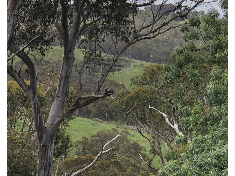 288 Glenfern Road, Upwey VIC 3158