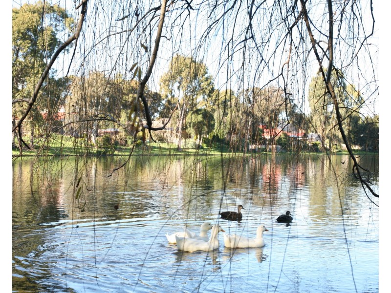 4/9 Stamford Crescent, Rowville VIC 3178