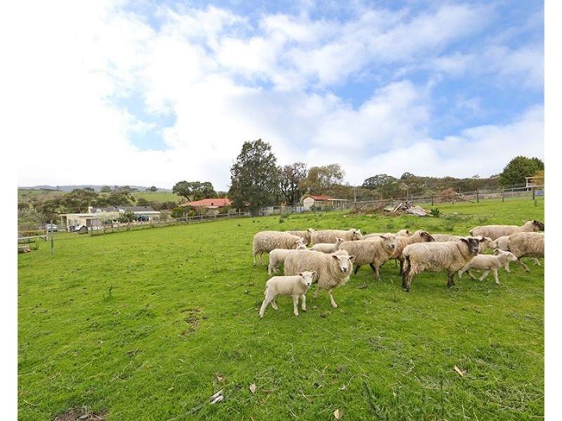 1540 Wellington Road, Lysterfield VIC 3156