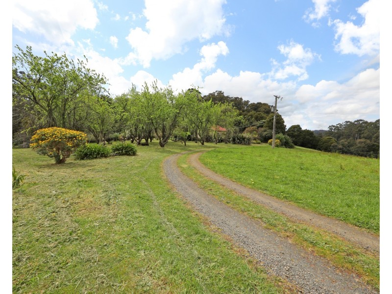 3 Frond Drive, The Patch VIC 3792