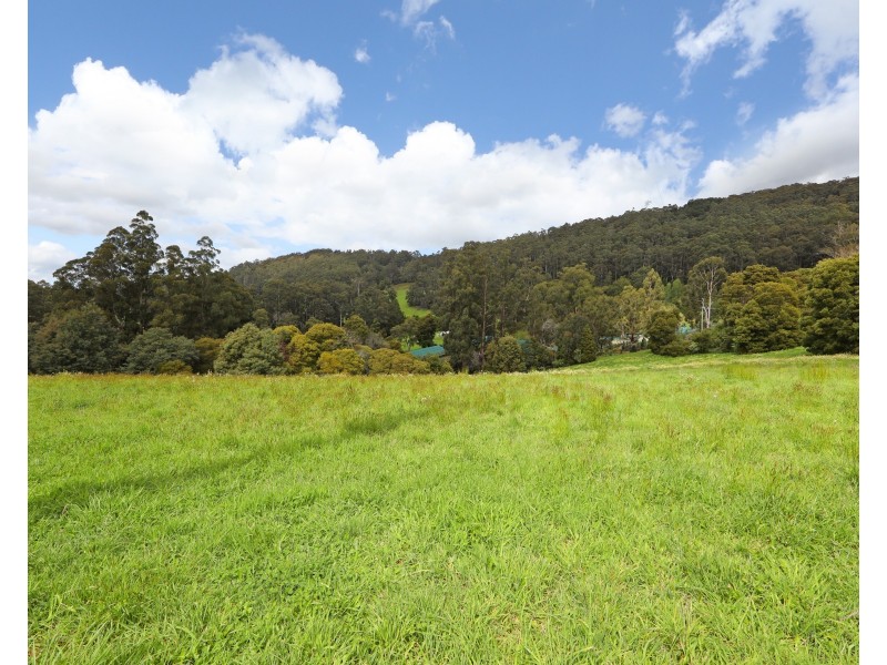 3 Frond Drive, The Patch VIC 3792