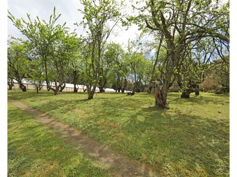 3 Frond Drive, The Patch VIC 3792