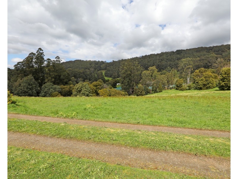 3 Frond Drive, The Patch VIC 3792