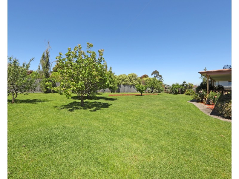 45 Murrindal Drive, Rowville VIC 3178