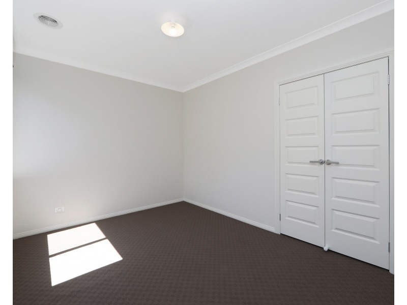 17 Guernsey Street, Clyde North VIC 3978
