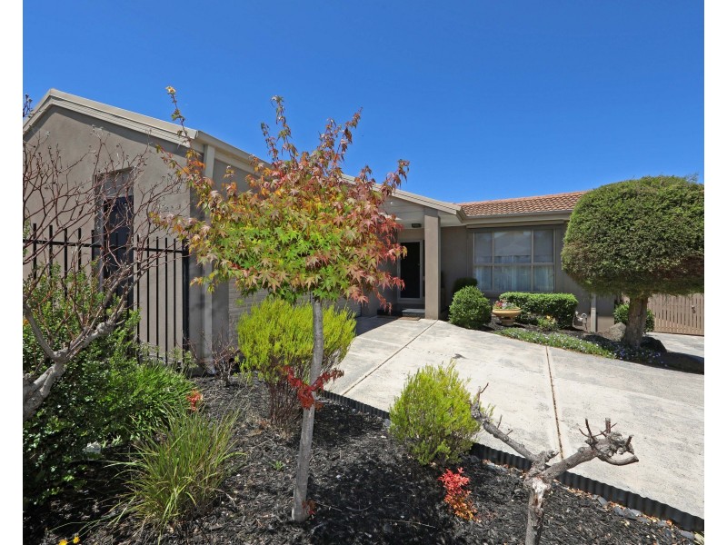 15 Neerim Court, Rowville VIC 3178