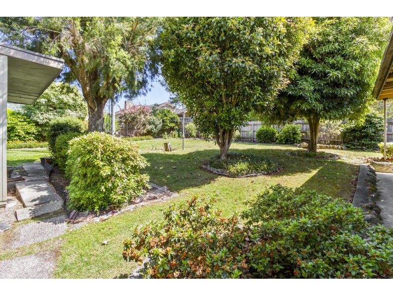 8 Nymph Street, Mitcham VIC 3132