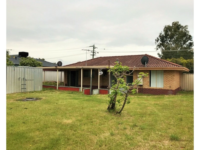 15  Tigris Way, Beechboro WA 6063