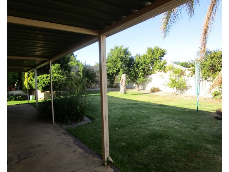 19 Gerosa Place, Alexander Heights WA 6064