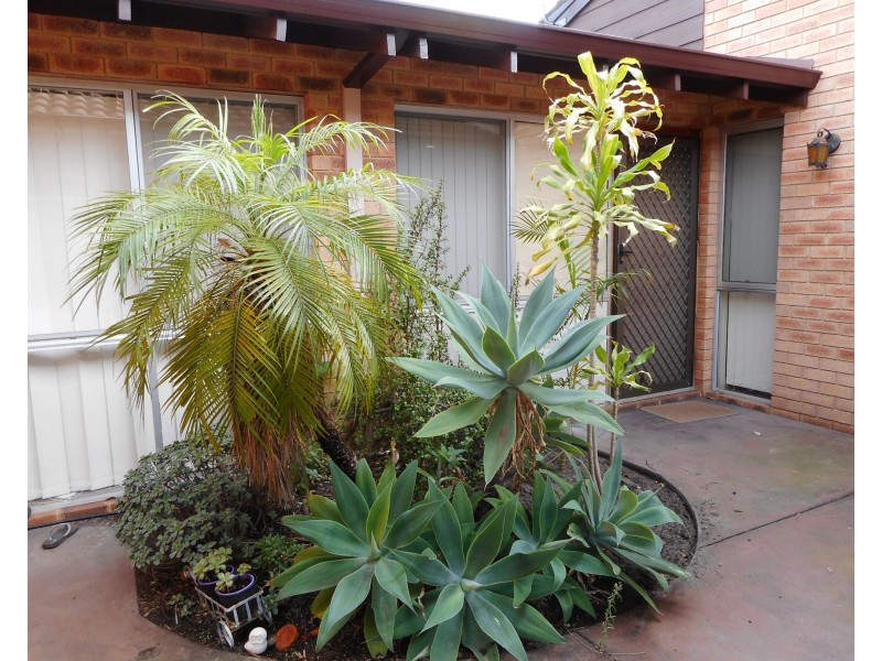 3/69 Elsegood Street, Dianella WA 6059