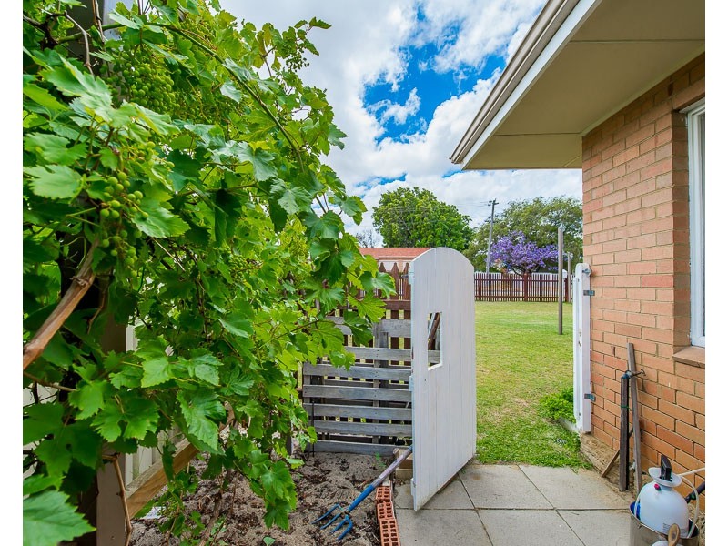 41 Maurice Street, Embleton WA 6062