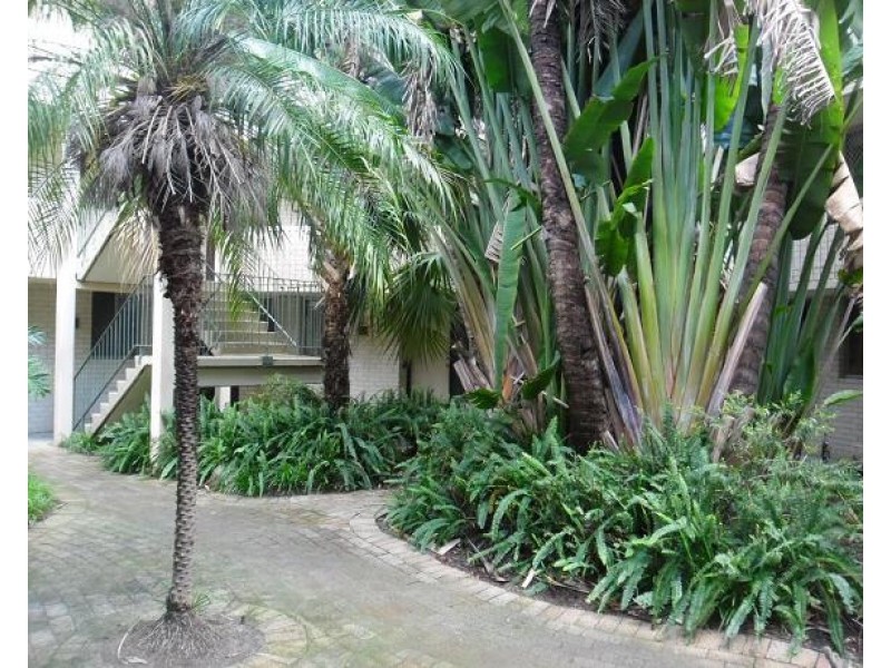 101/81 King William St, Bayswater WA 6053