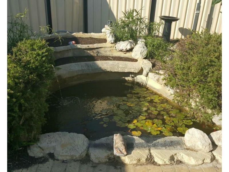 39 Homestead Drive, Clarkson WA 6030